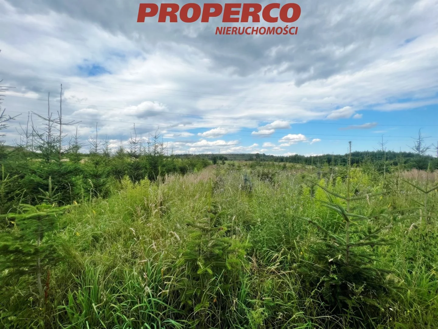 Działka 13 100,00 m², oferta nr , PRP-GS-73895, Chęciny