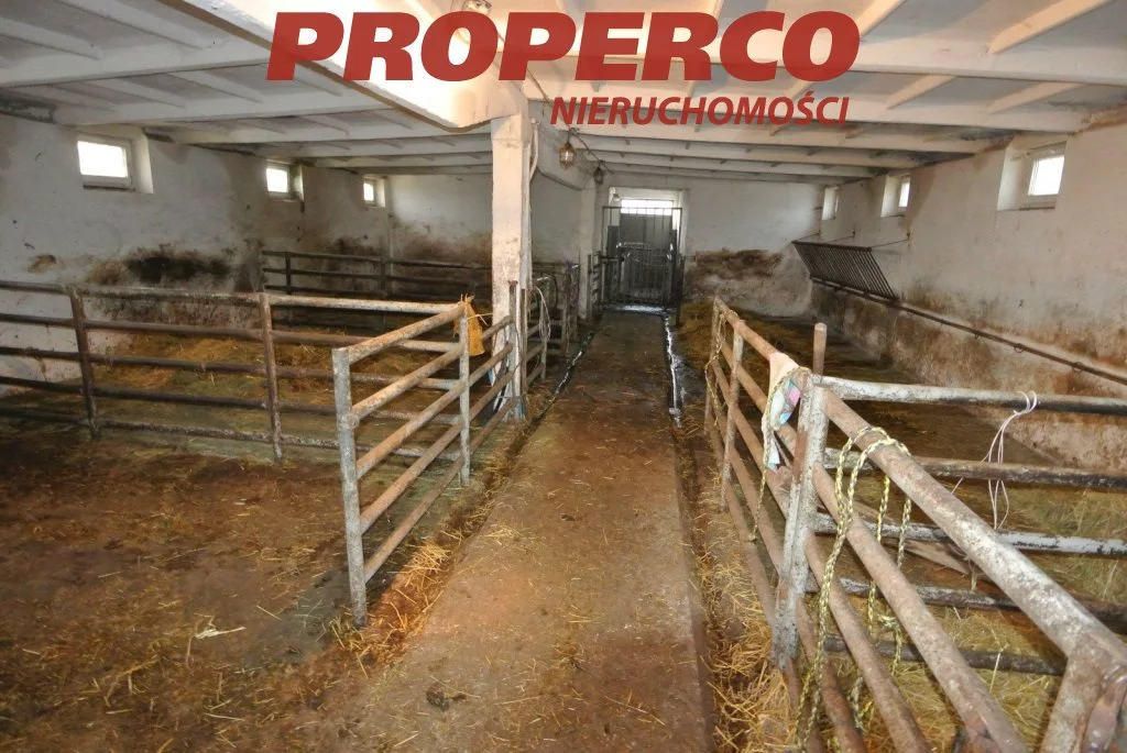 Działka 10 839,00 m², oferta nr , PRP-GS-58080-25, Chmielnik