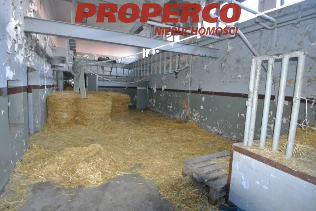 Działka 10 839,00 m², oferta nr , PRP-GS-58080-25, Chmielnik
