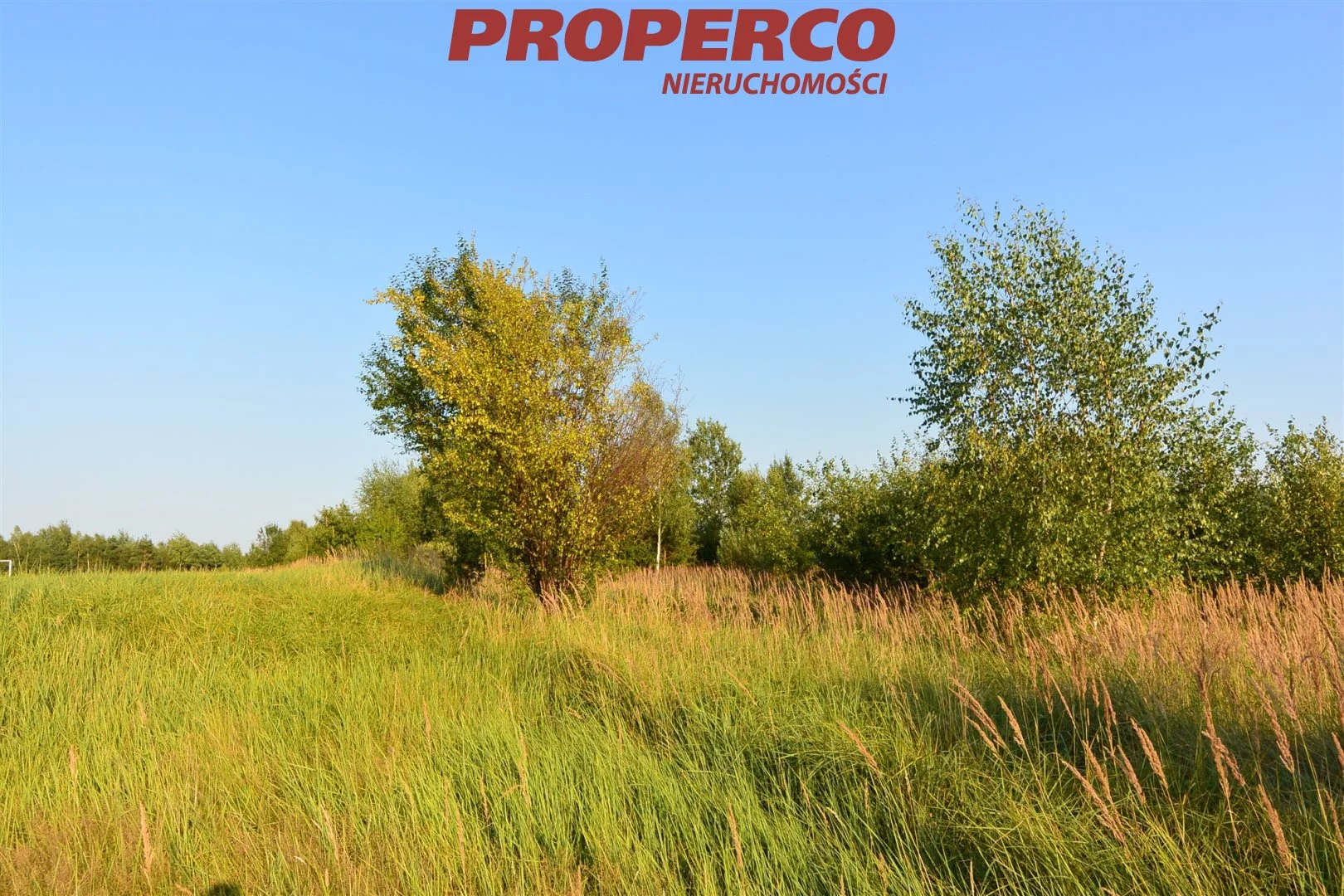 Działka 982,00 m², oferta nr , PRP-GS-73664, Ciekoty