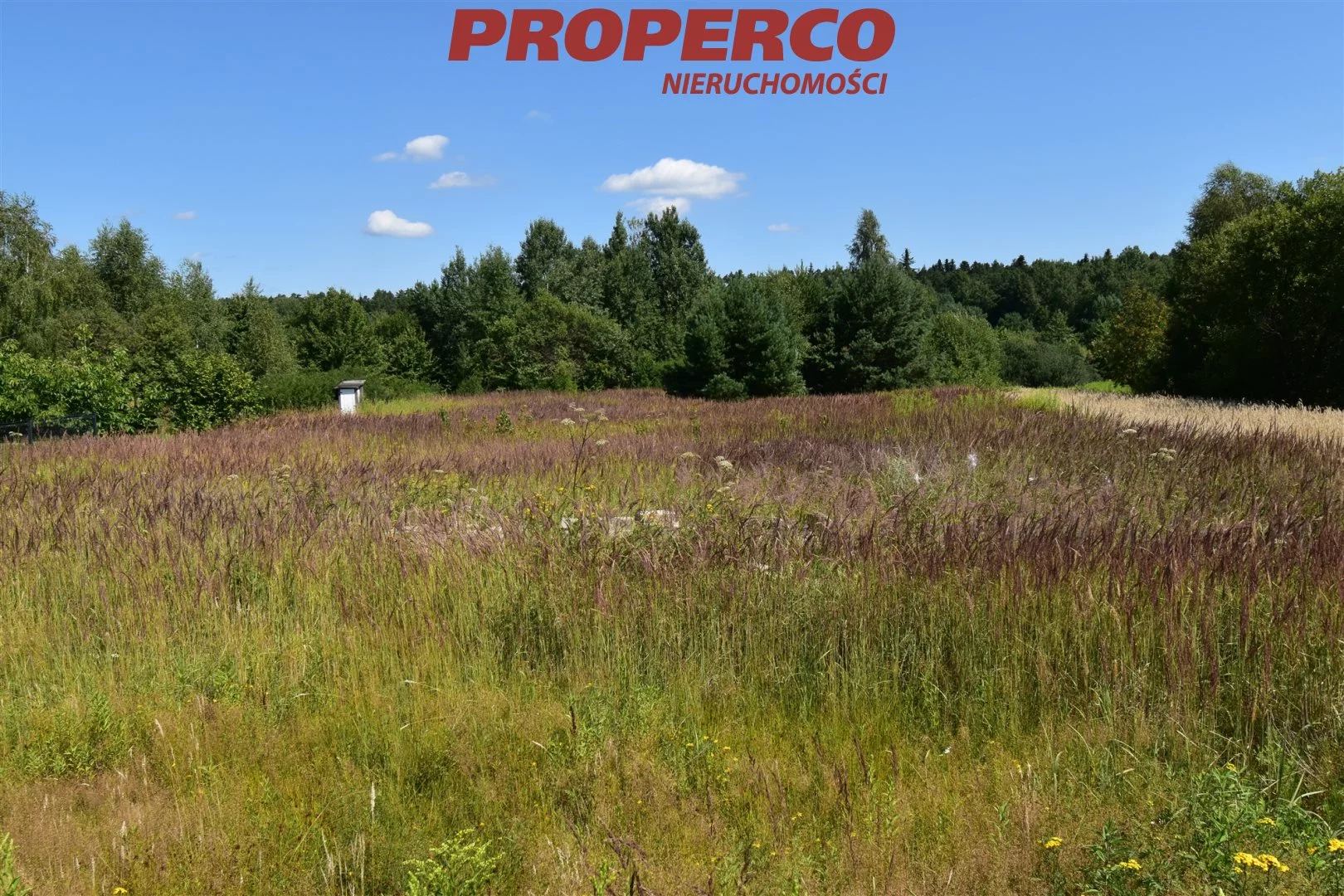 Działka 4 310,00 m², oferta nr , PRP-GS-69562, Daleszyce