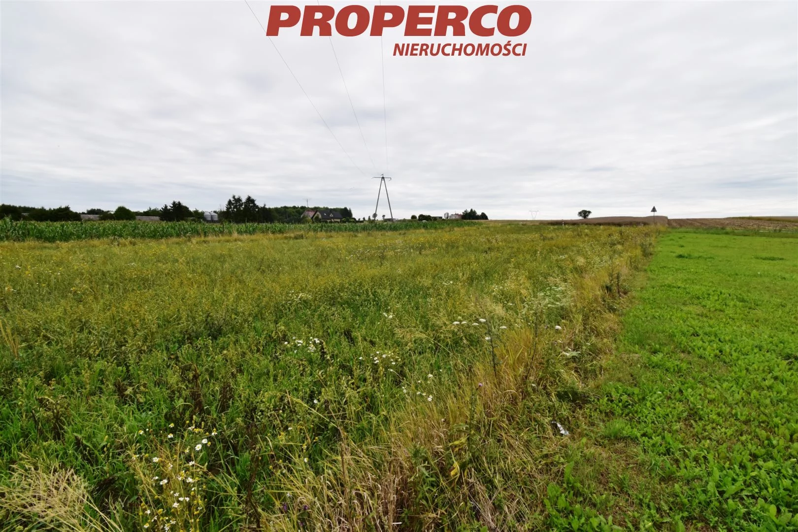 Działka 3 000,00 m², oferta nr , PRP-GS-71921, Jędrzejów
