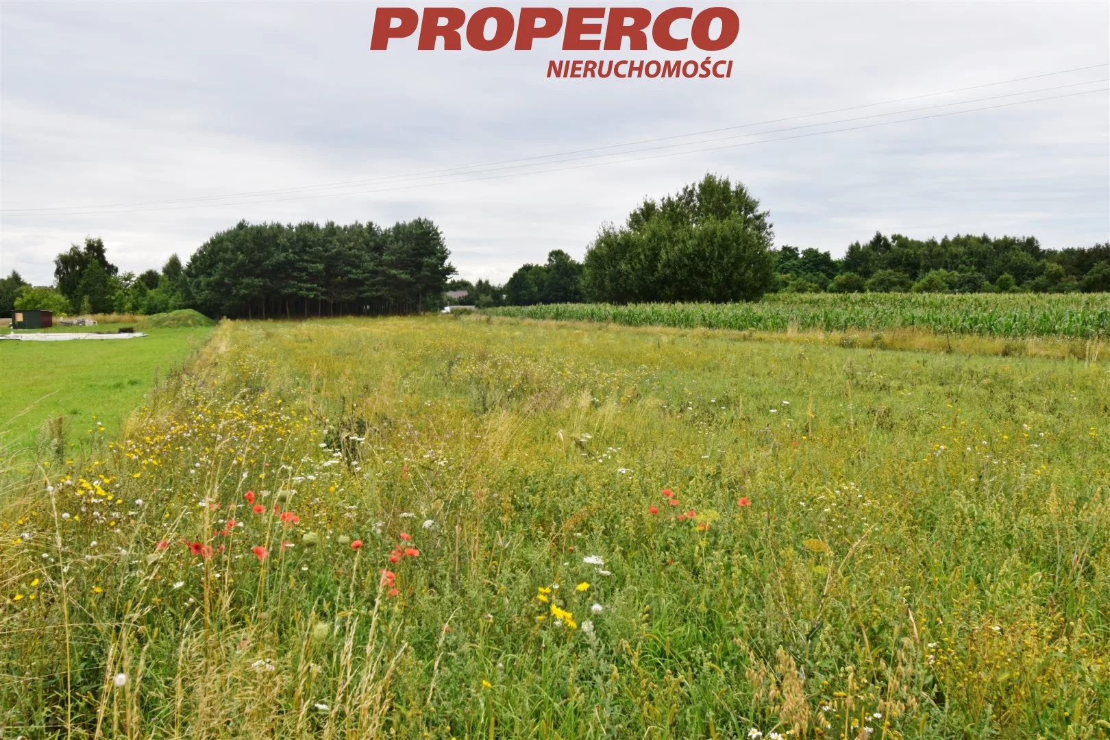 Działka 3 000,00 m², oferta nr , PRP-GS-71921, Jędrzejów