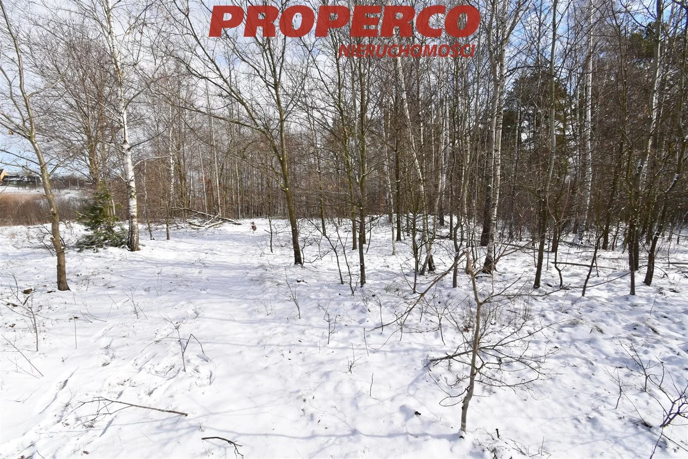 Działka 35 500,00 m², oferta nr , PRP-GS-66622, Łączna