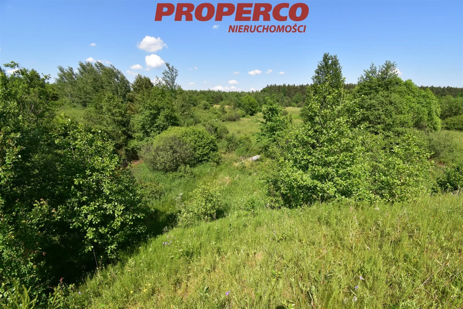 Działka 1 589,00 m², oferta nr , PRP-GS-74436, Łączna