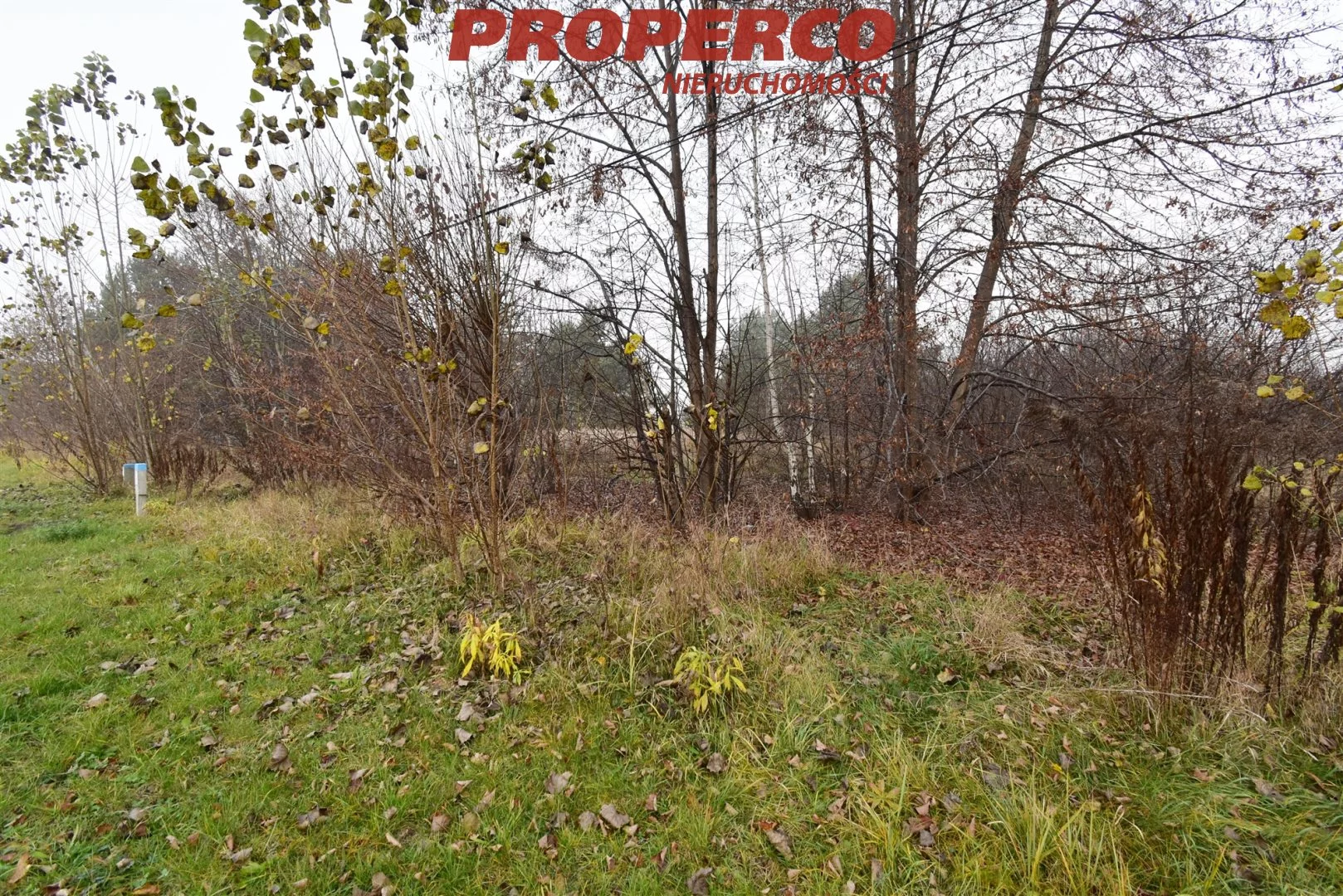 Działka 8 300,00 m², oferta nr , PRP-GW-70277, Kielce, Zalesie, Łopuszniańska