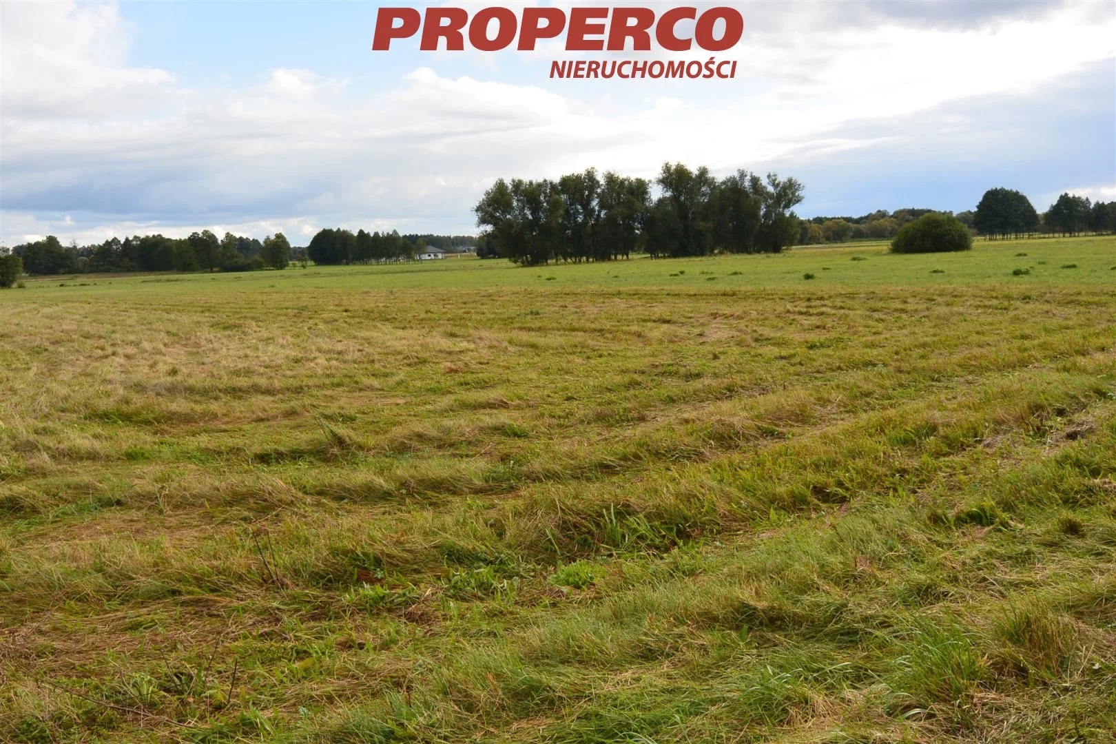 Działka 14 800,00 m², oferta nr , PRP-GS-69955, Łopuszno