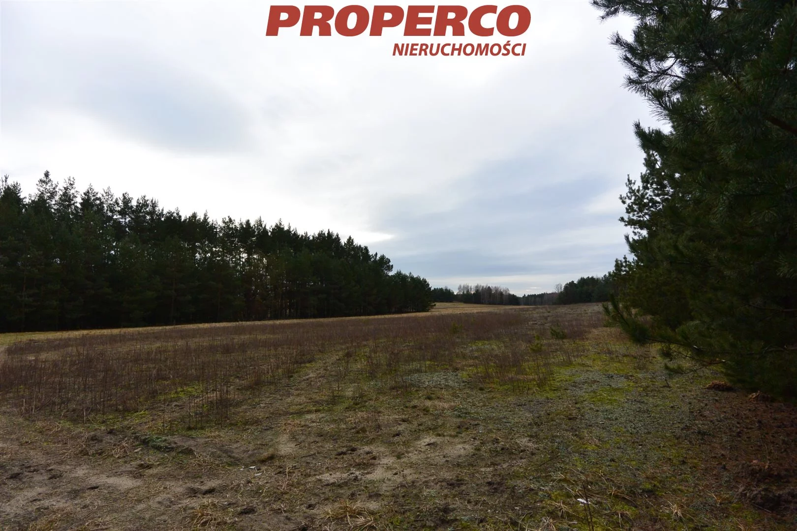 Działka 337 500,00 m², oferta nr , PRP-GS-70727, Łopuszno