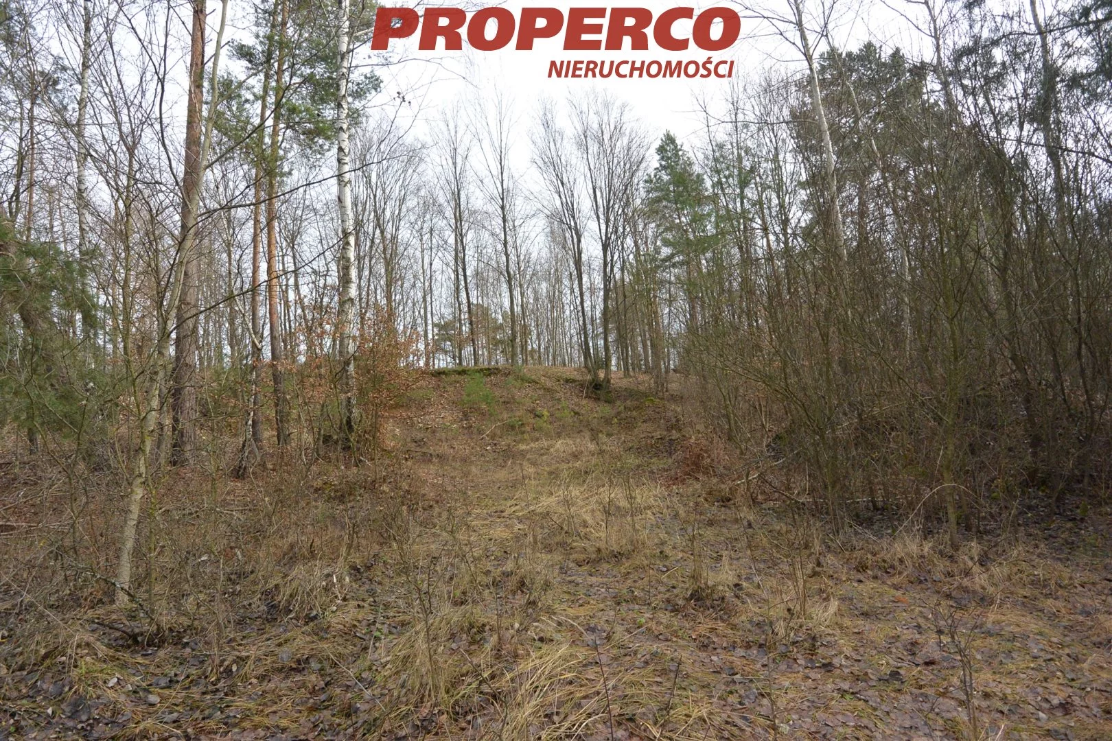 Działka 337 500,00 m², oferta nr , PRP-GS-70727, Łopuszno