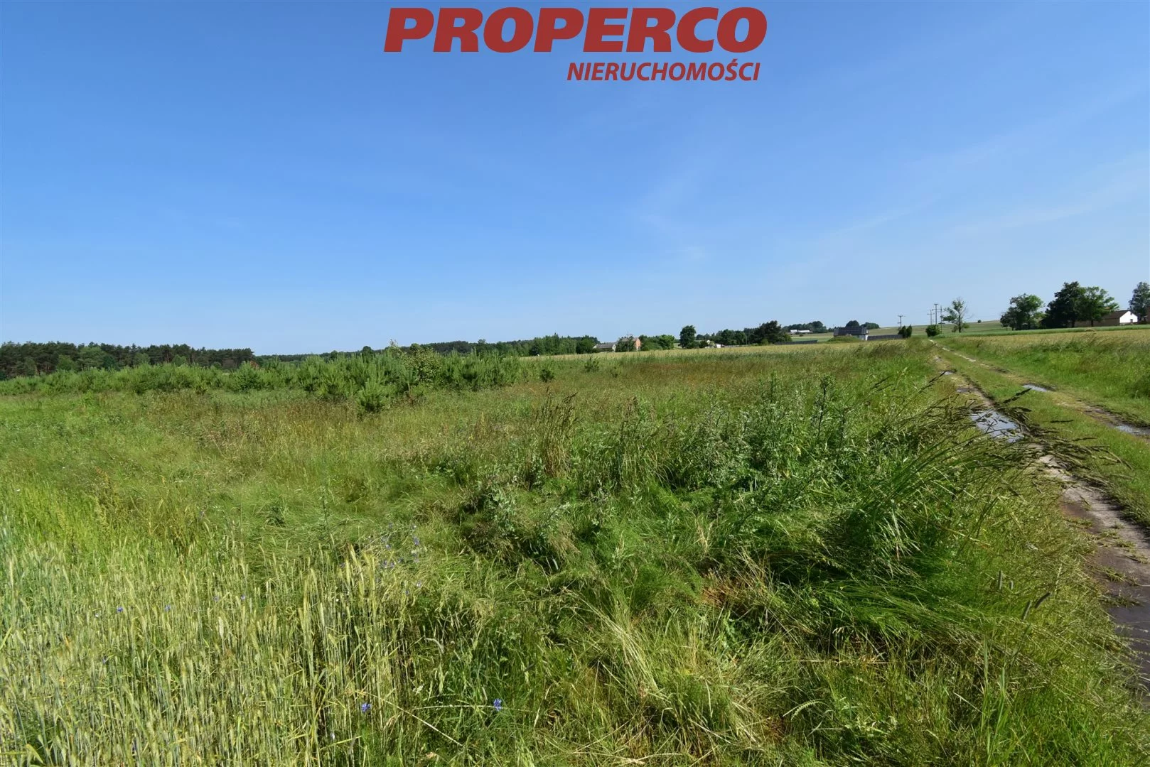 Działka 9 987,00 m², oferta nr , PRP-GS-71676, Mnin
