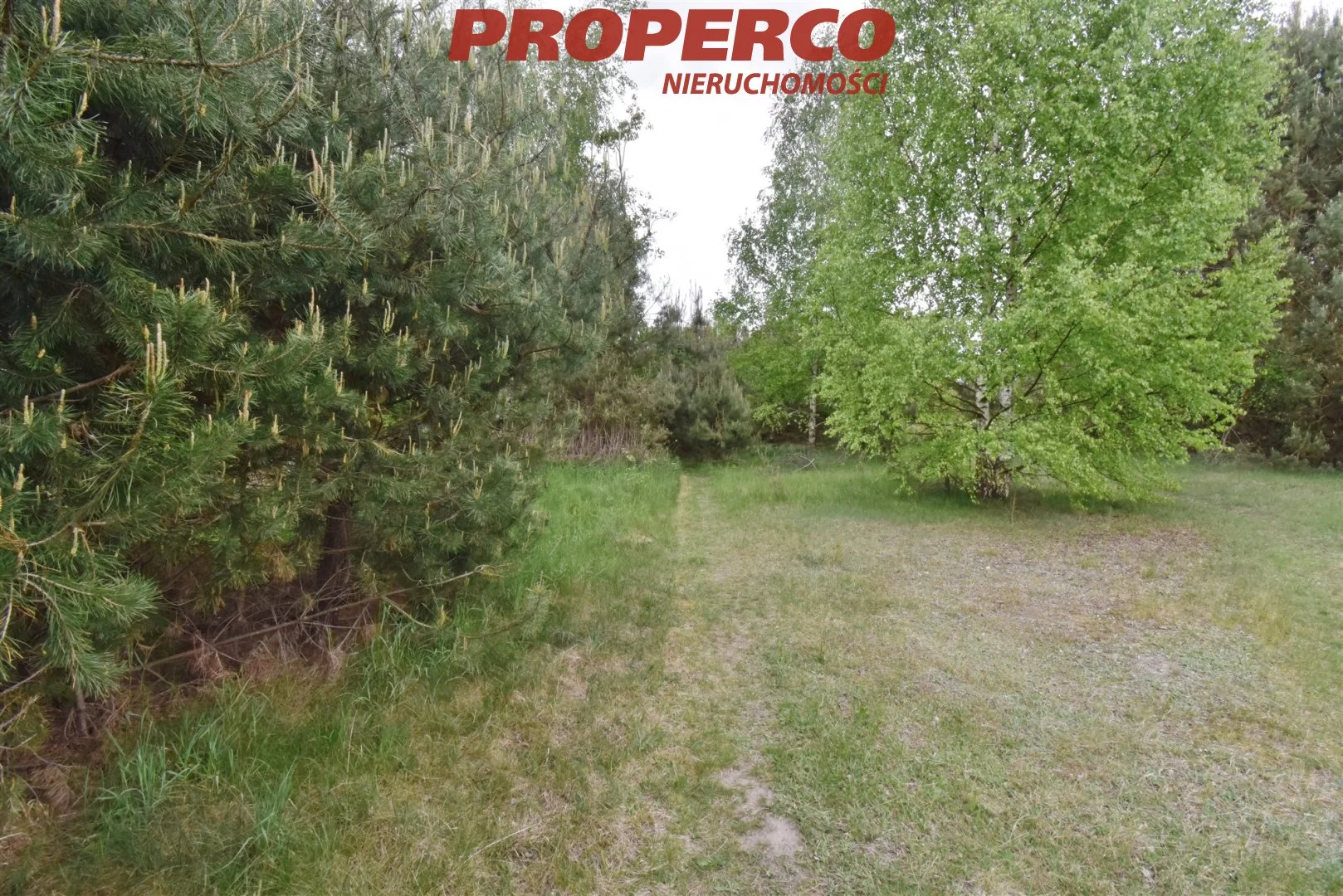 PRP-GS-75070 - zdjęcie nr 2