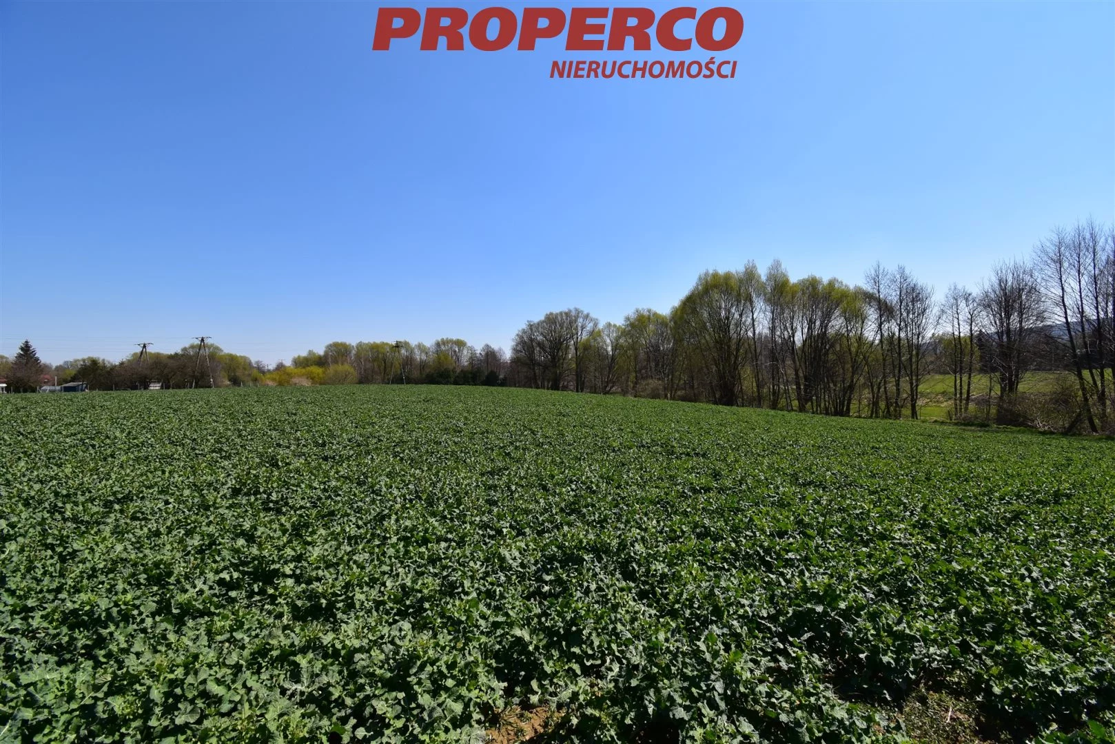 Działka 11 760,00 m², oferta nr , PRP-GS-66910, Nowa Słupia