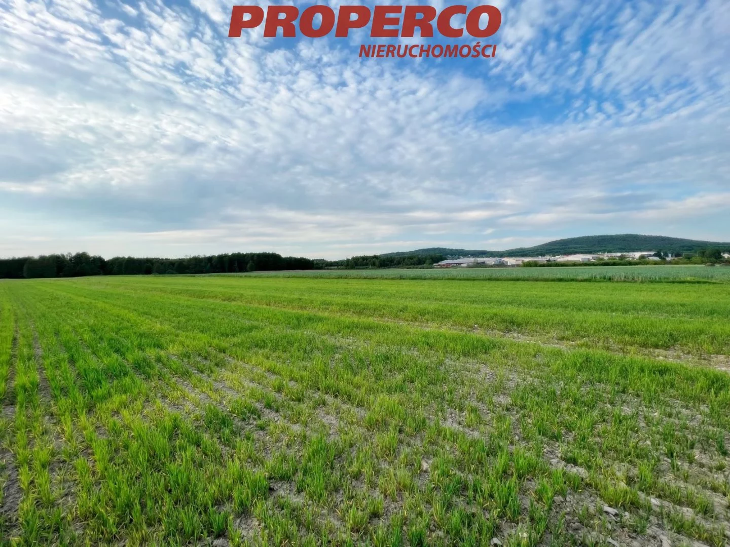 Działka 1 500,00 m², oferta nr , PRP-GS-73446, Łopuszno, Nowowiejska