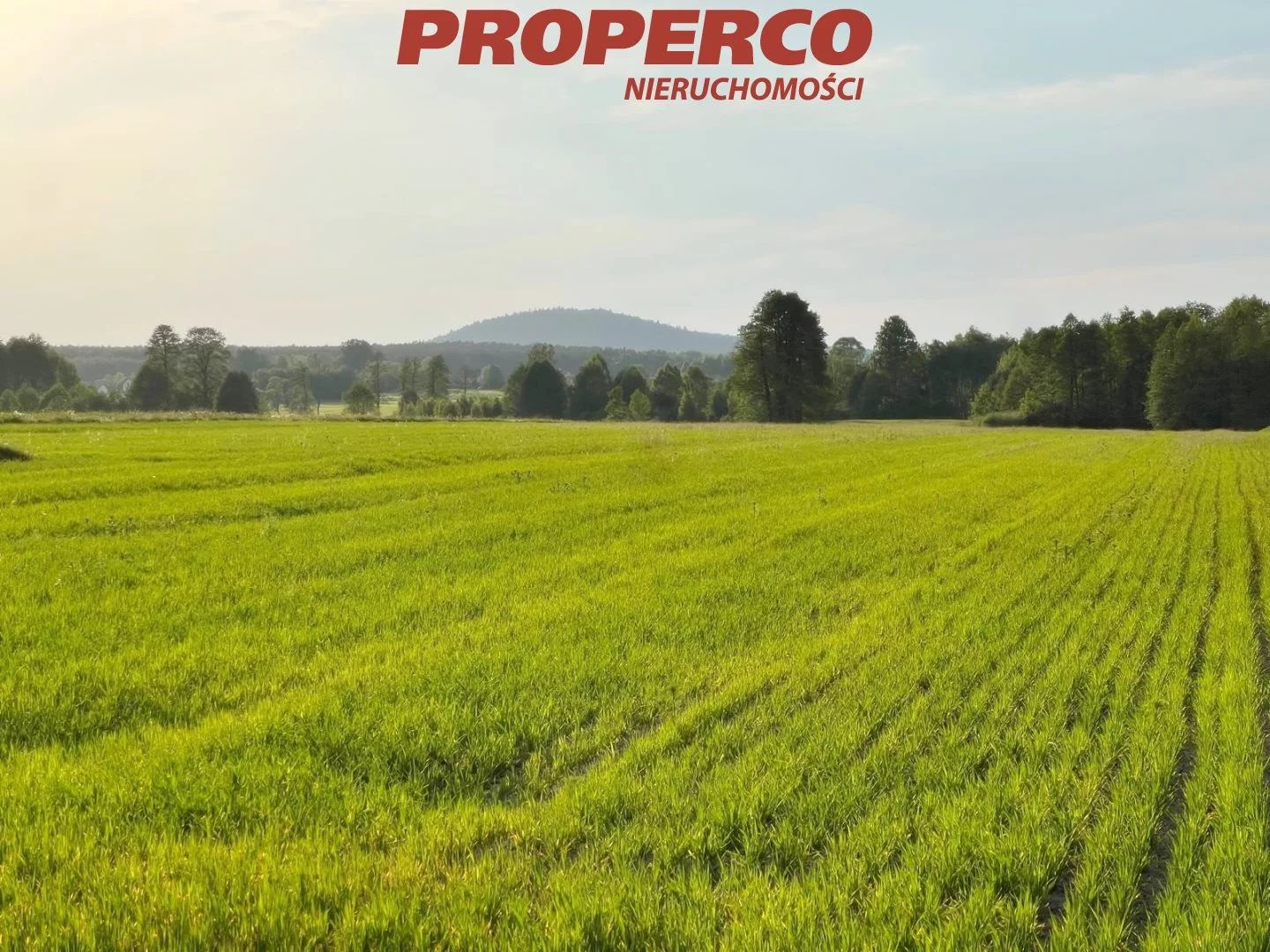 Działka 1 500,00 m², oferta nr , PRP-GS-73446, Łopuszno, Nowowiejska