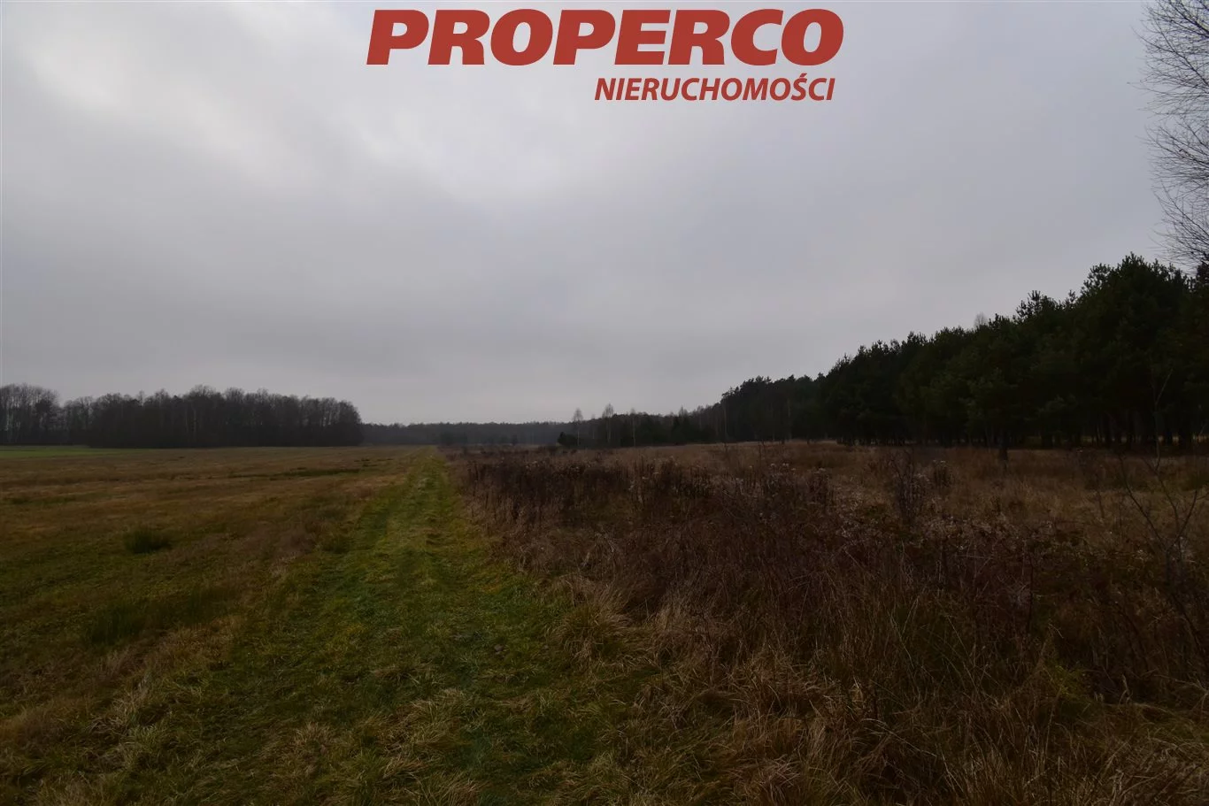 Działka 7 233,00 m², oferta nr , PRP-GS-65787, Pierzchnica