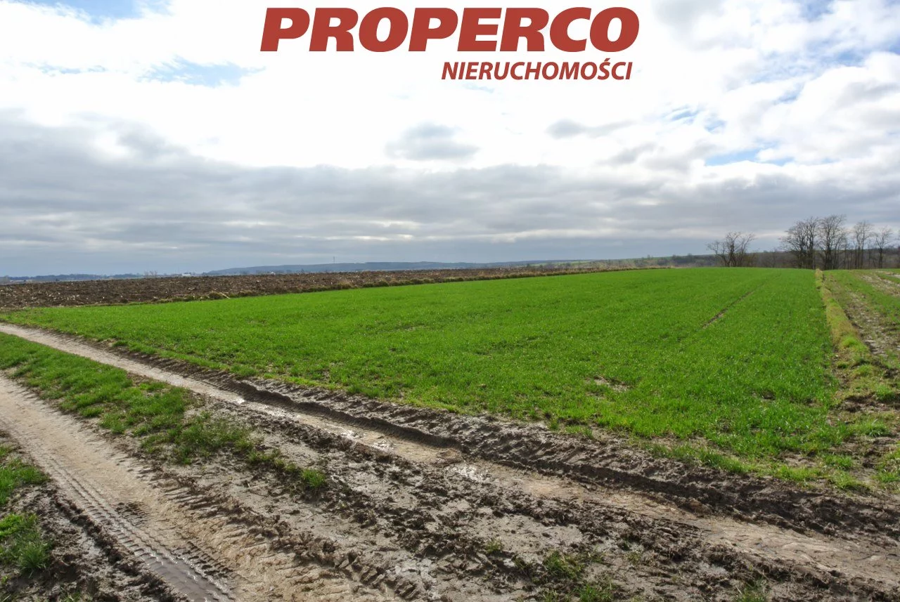 Działka 10 500,00 m², oferta nr , PRP-GS-73064, Pińczów