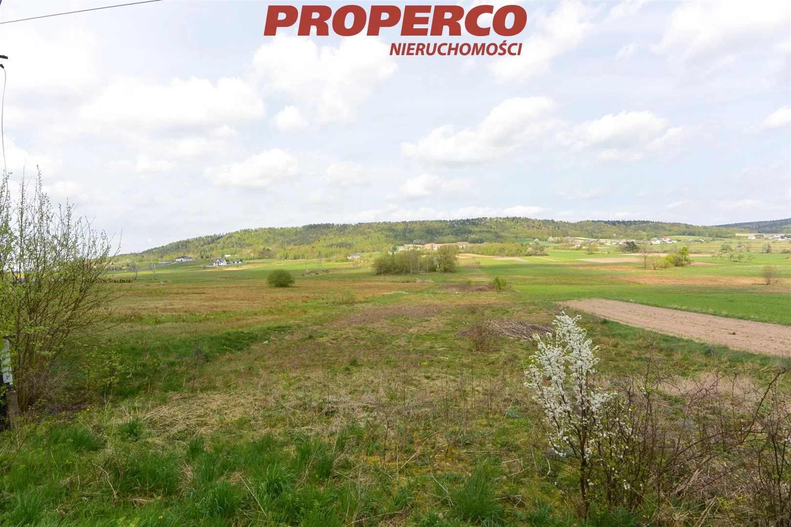 Działka 16 600,00 m², oferta nr , PRP-GS-73167, Raków