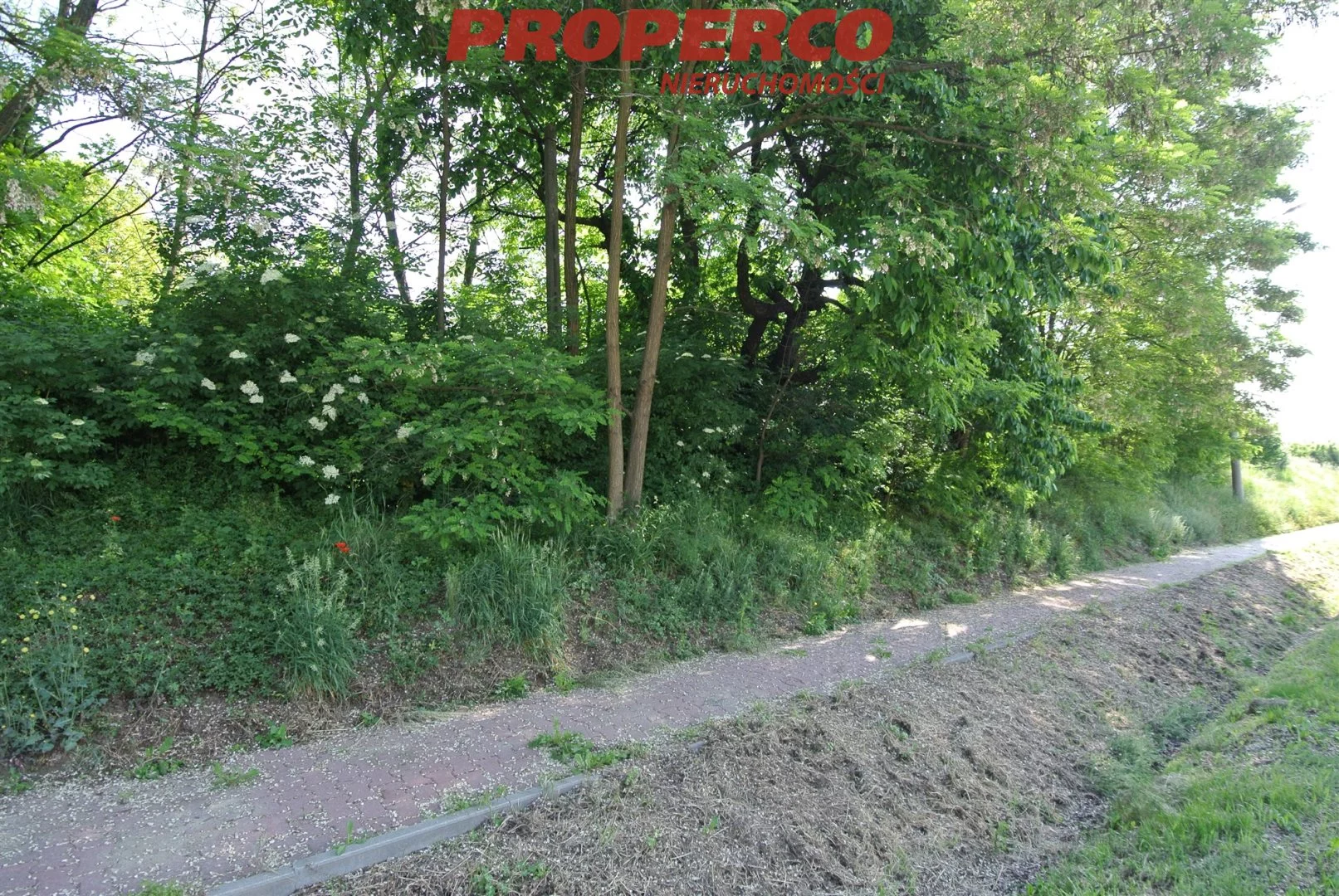 PRP-GS-75148 - zdjęcie nr 3
