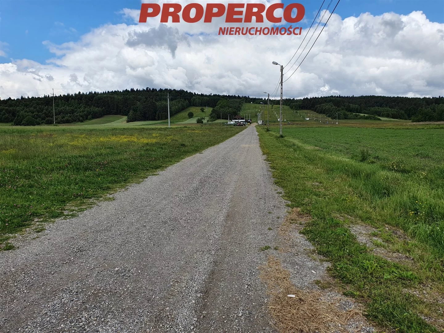 Lokal użytkowy 300,00 m², oferta nr , PRP-LW-72736, Daleszyce