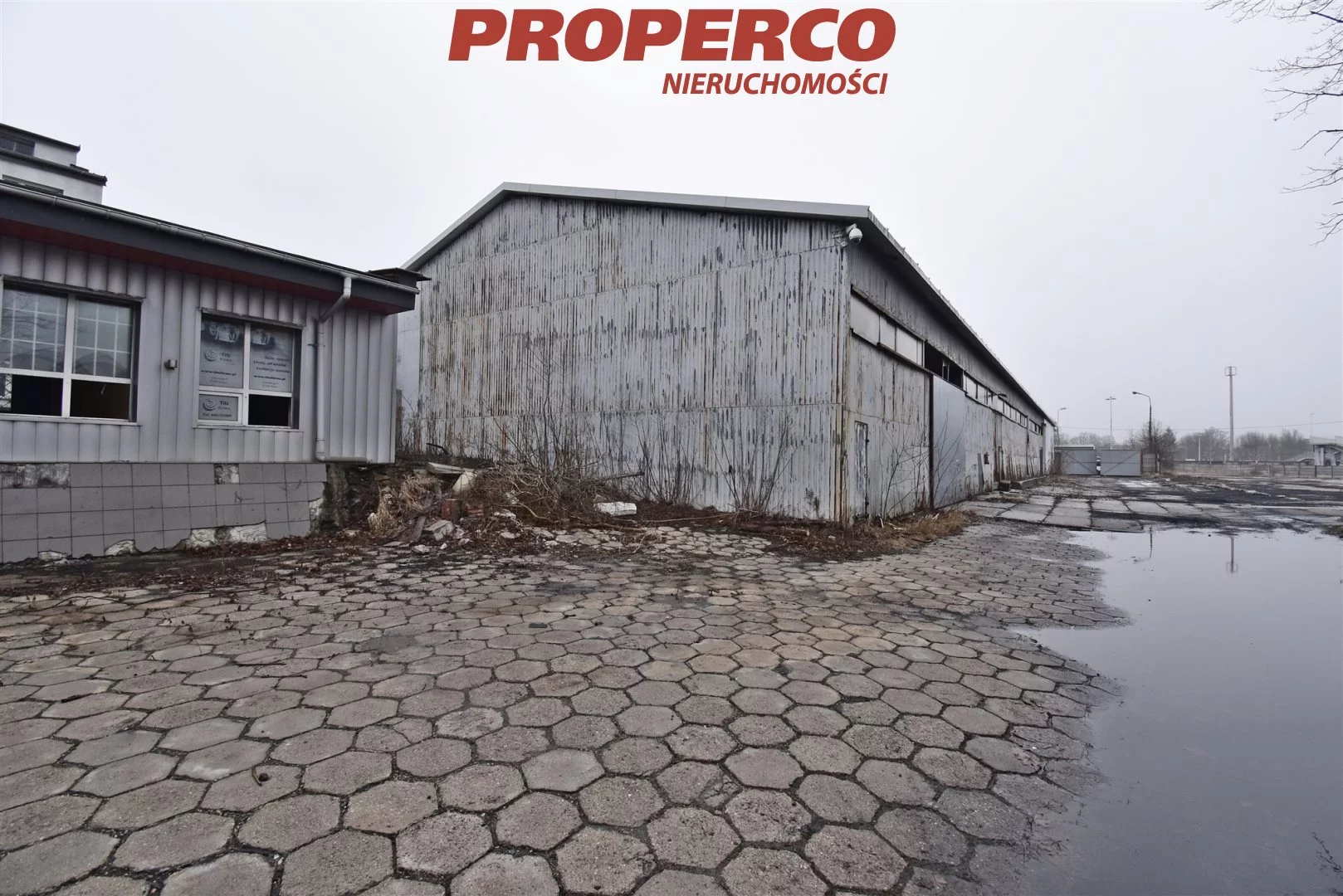 Magazyn 1 600,00 m², oferta nr , PRP-HW-74767, Kielce, Czarnów