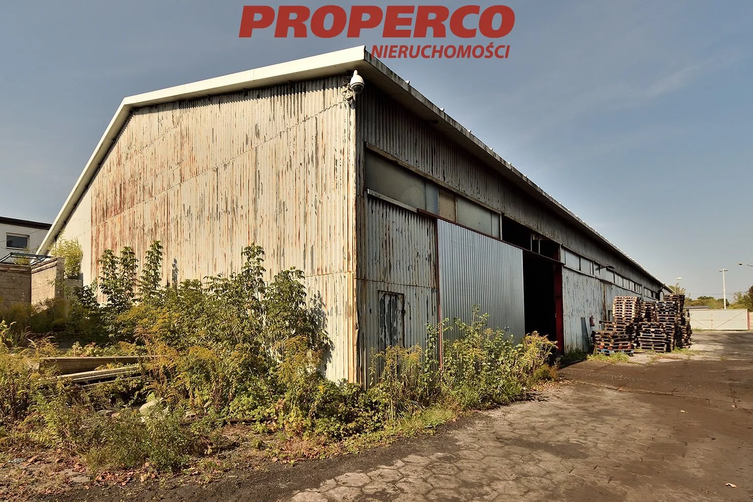 Magazyn 1 600,00 m², oferta nr , PRP-HW-74767, Kielce, Czarnów