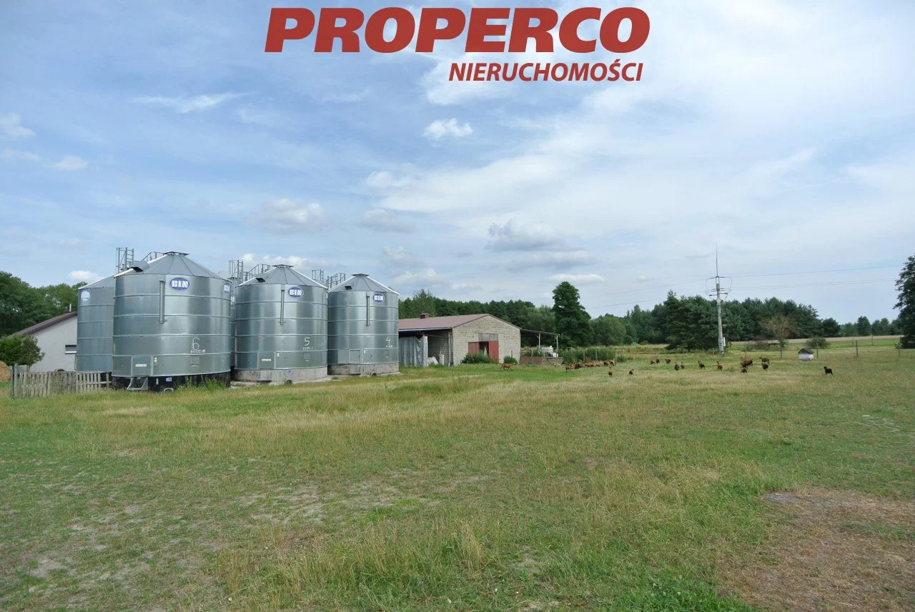 Magazyn 2 000,00 m², oferta nr , PRP-HW-73546, Pierzchnica