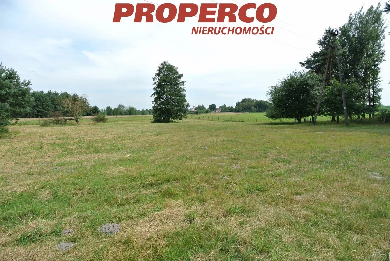 Magazyn 2 000,00 m², oferta nr , PRP-HW-73546, Pierzchnica
