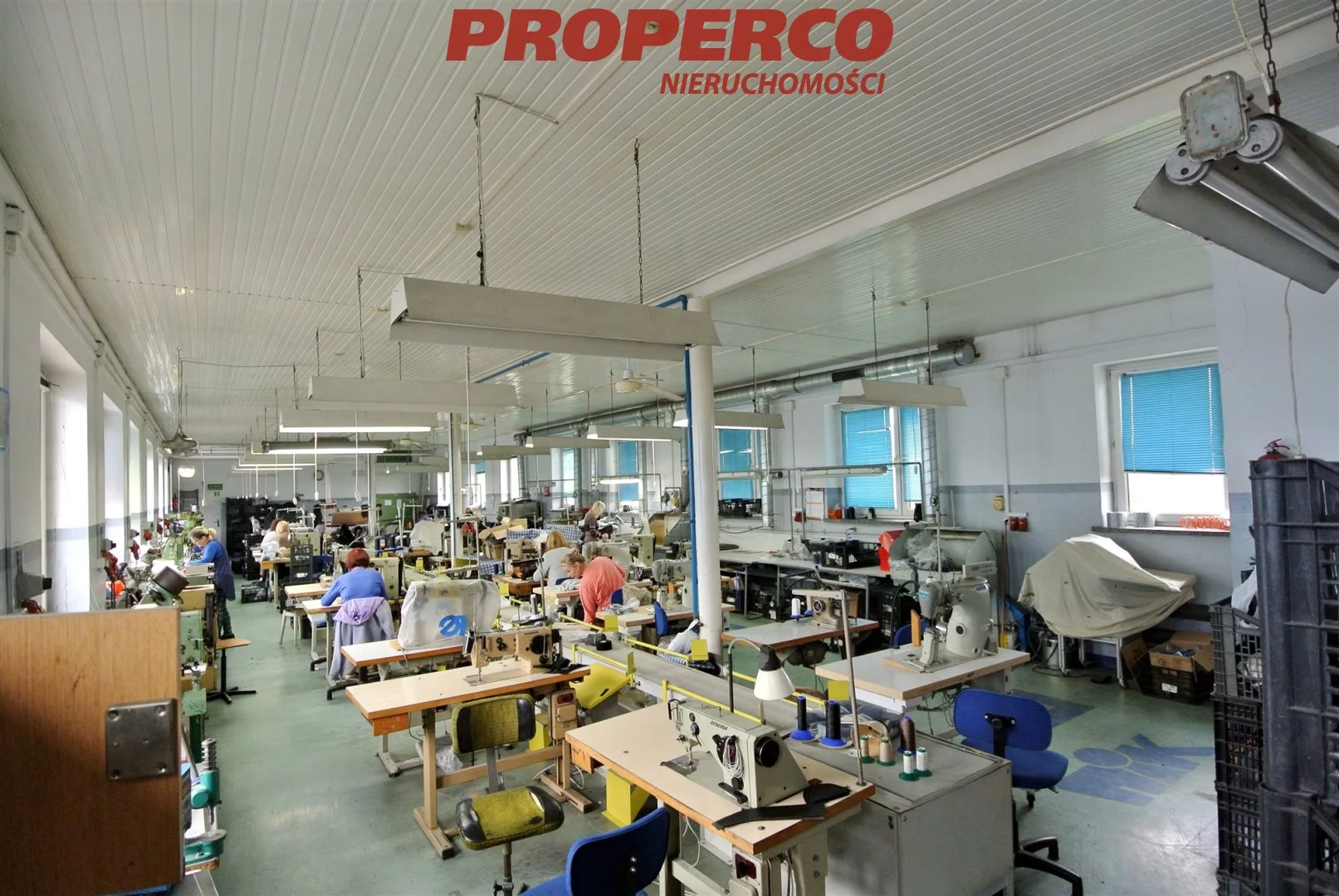 Magazyn 2 726,00 m², oferta nr , PRP-HS-71514, Trzebieszów