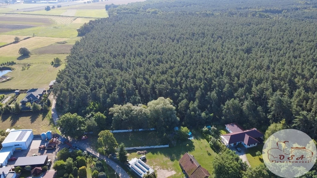 551/4398/OGS - zdjęcie nr 3