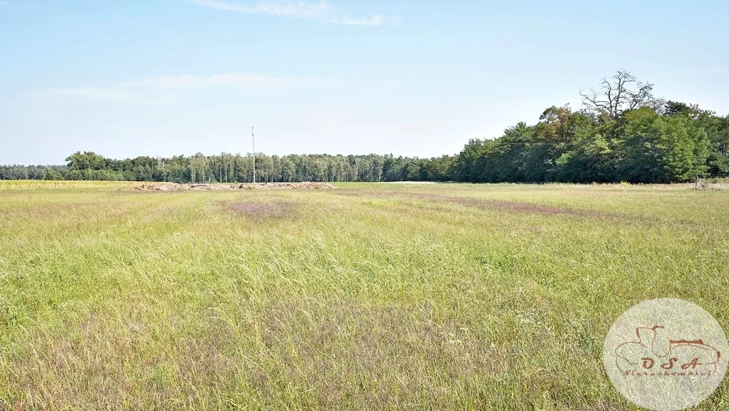 Działka 14 000,00 m², Esterpole, Sprzedaż