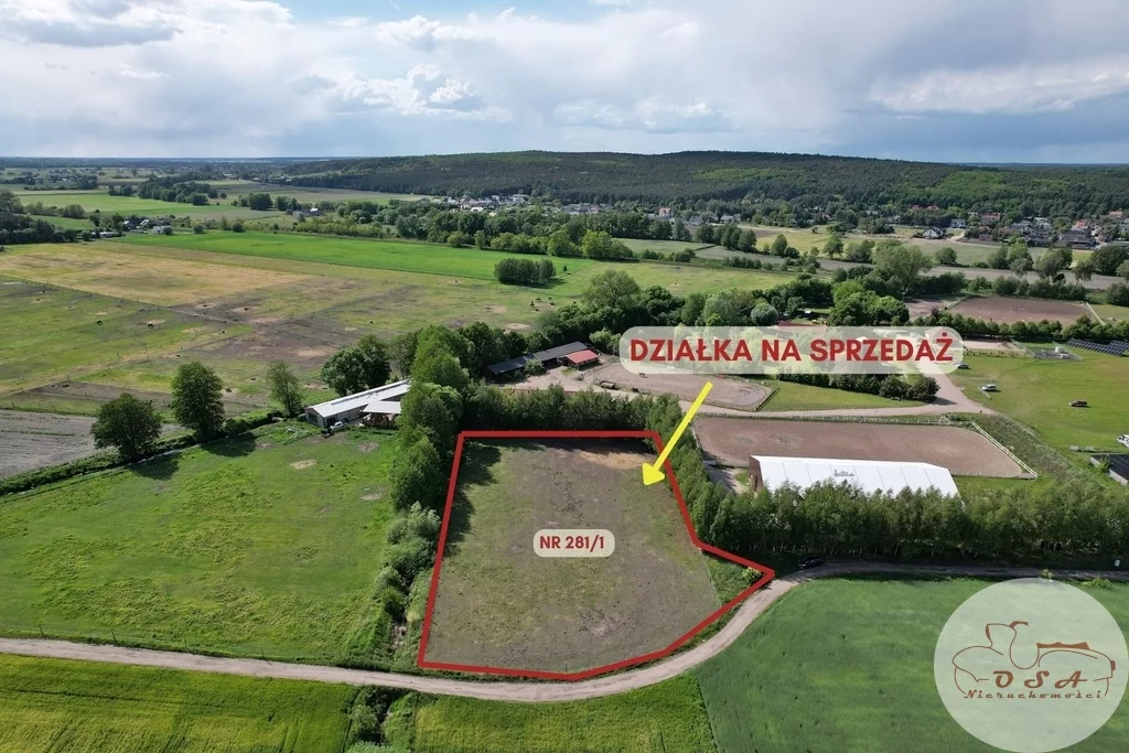 Apartamenty 540/4398/OGS Mosina