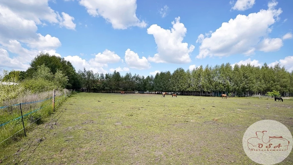 Działka 5 159,00 m², oferta nr , 540/4398/OGS, Mosina