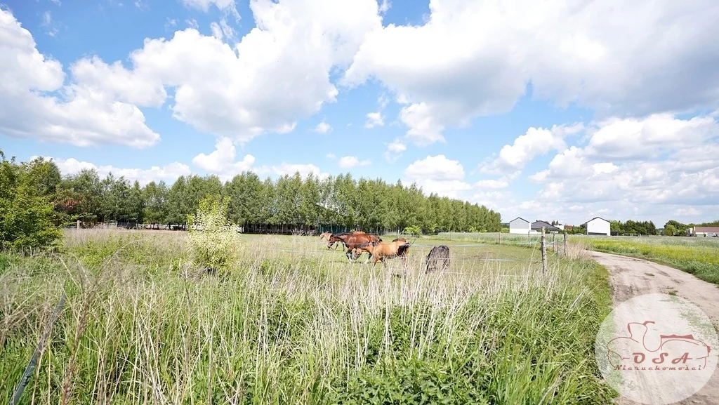 Działka 5 159,00 m², oferta nr , 540/4398/OGS, Mosina