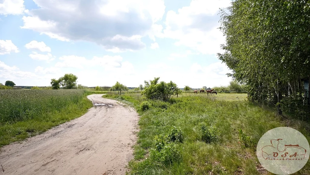 Działka 5 159,00 m², oferta nr , 540/4398/OGS, Mosina