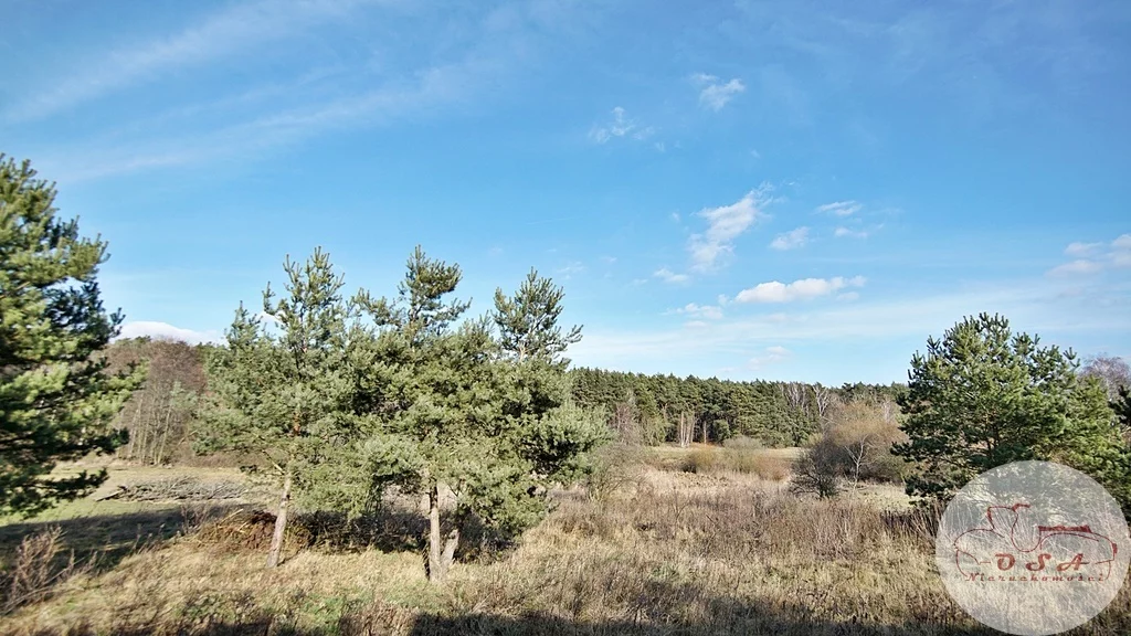 Działka 4 826,00 m², oferta nr , 318/4398/OGS, Stęszew