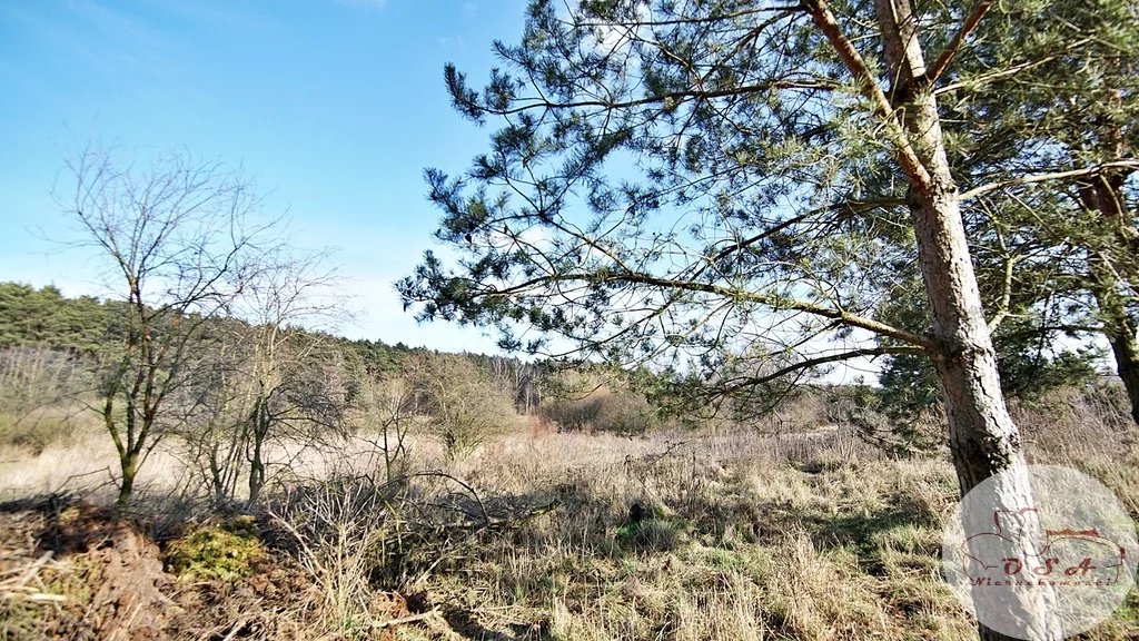 Działka 4 826,00 m², oferta nr , 318/4398/OGS, Stęszew