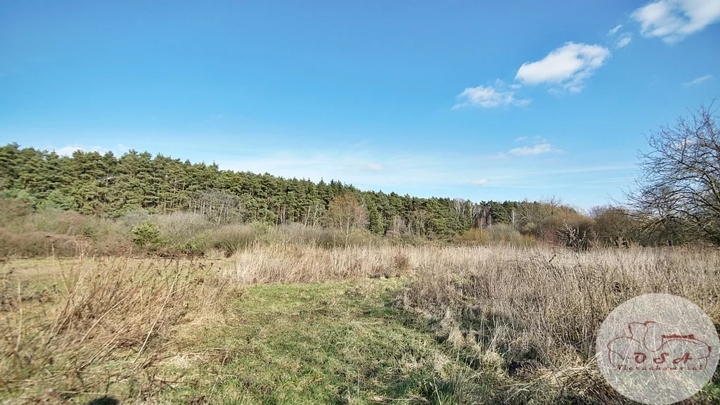 Działka 4 826,00 m², oferta nr , 318/4398/OGS, Stęszew