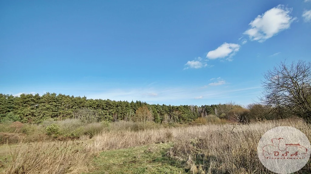 Działka 4 826,00 m², oferta nr , 318/4398/OGS, Stęszew