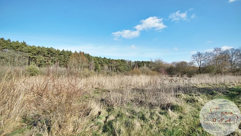 Działka 4 826,00 m², oferta nr , 318/4398/OGS, Stęszew