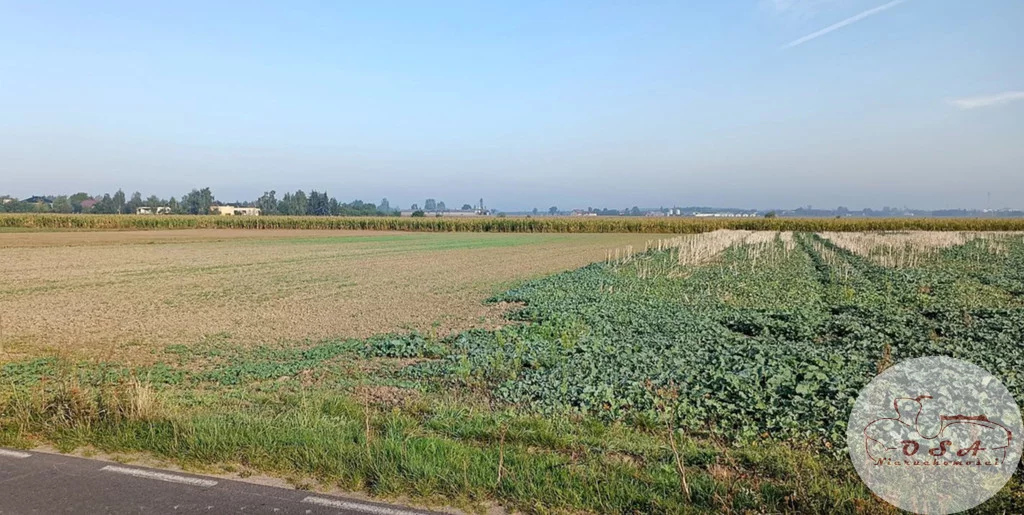 Działka 5 000,00 m², oferta nr , 469/4398/OGS, Września