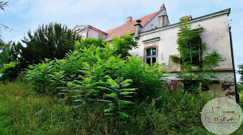 Lokal użytkowy 1 090,00 m², oferta nr , 48/4398/OOS, Gulczewo