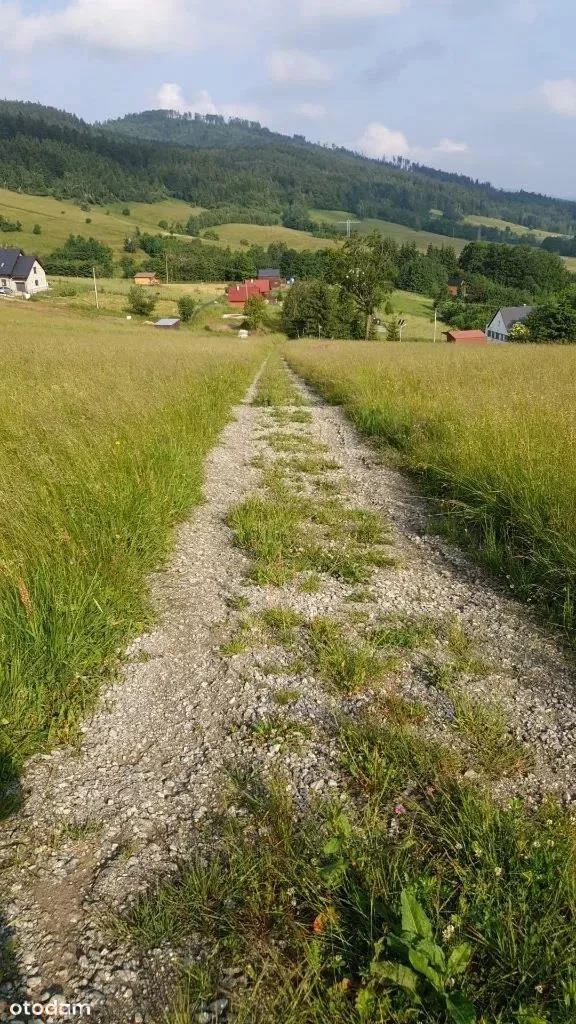 18244 - zdjęcie nr 4