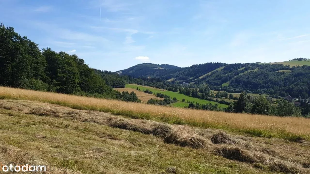 Działka 3 566,00 m², oferta nr , 19227, Walim, Adama Mickiewicza