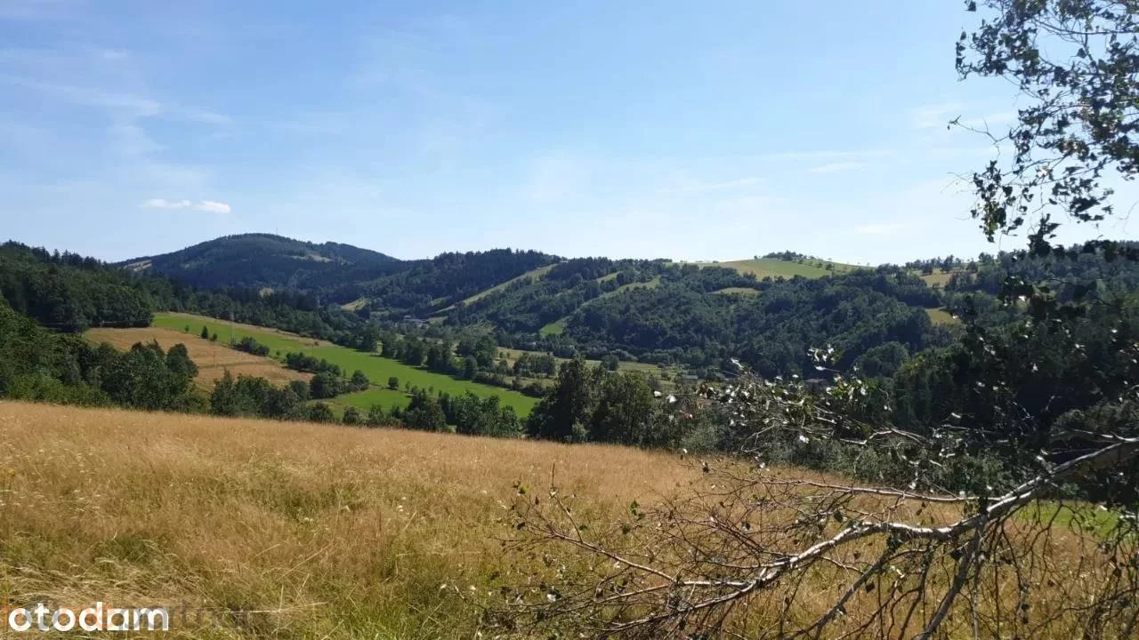 Działka 3 566,00 m², oferta nr , 19227, Walim, Adama Mickiewicza