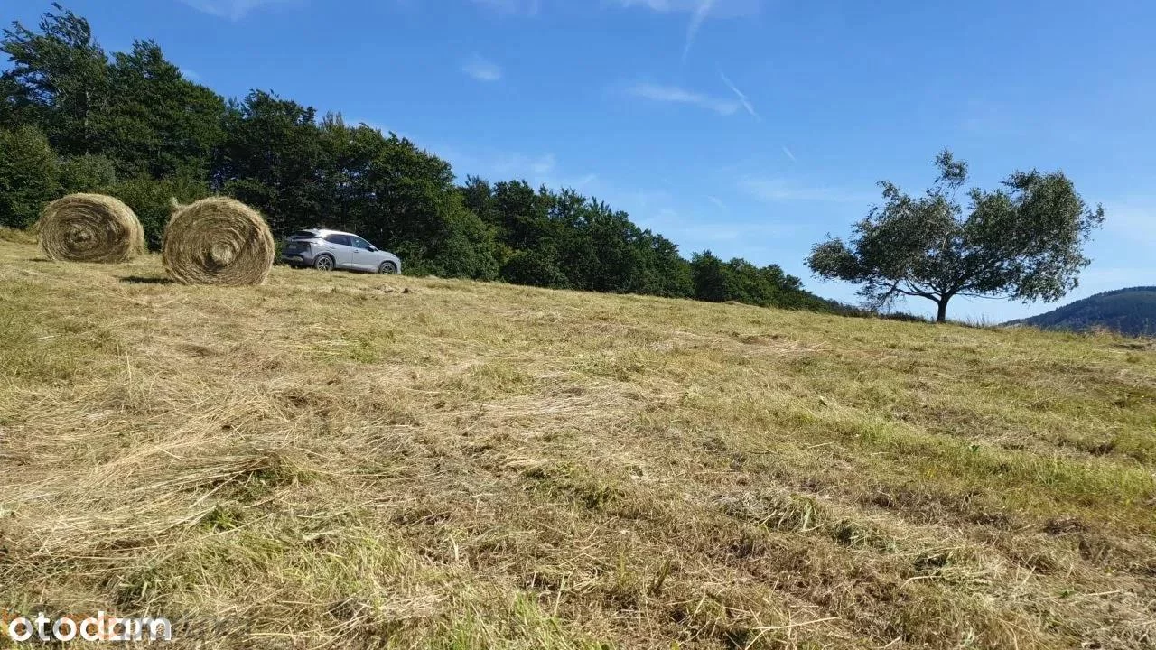 Działka 3 566,00 m², oferta nr , 19227, Walim, Adama Mickiewicza
