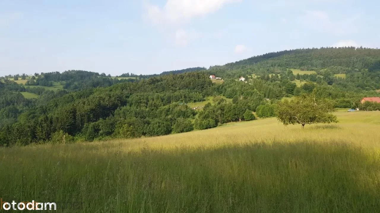 Działka 3 566,00 m², oferta nr , 19227, Walim, Adama Mickiewicza