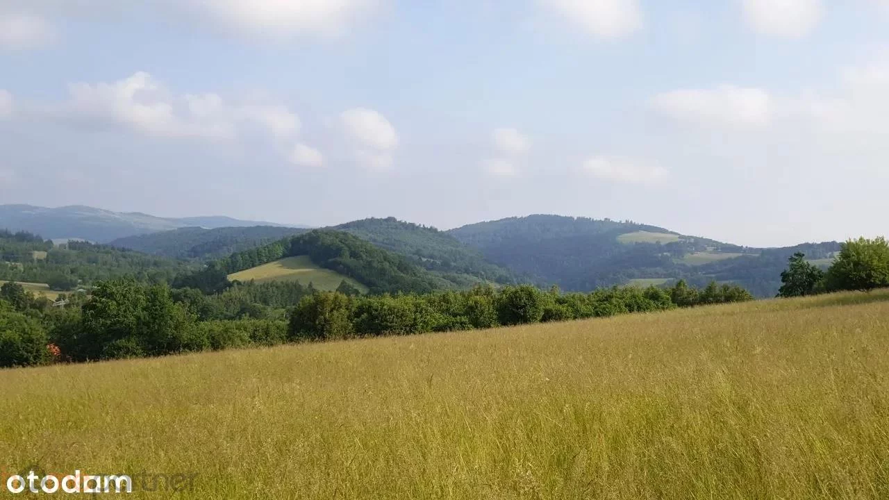 Działka 3 566,00 m², oferta nr , 19227, Walim, Adama Mickiewicza
