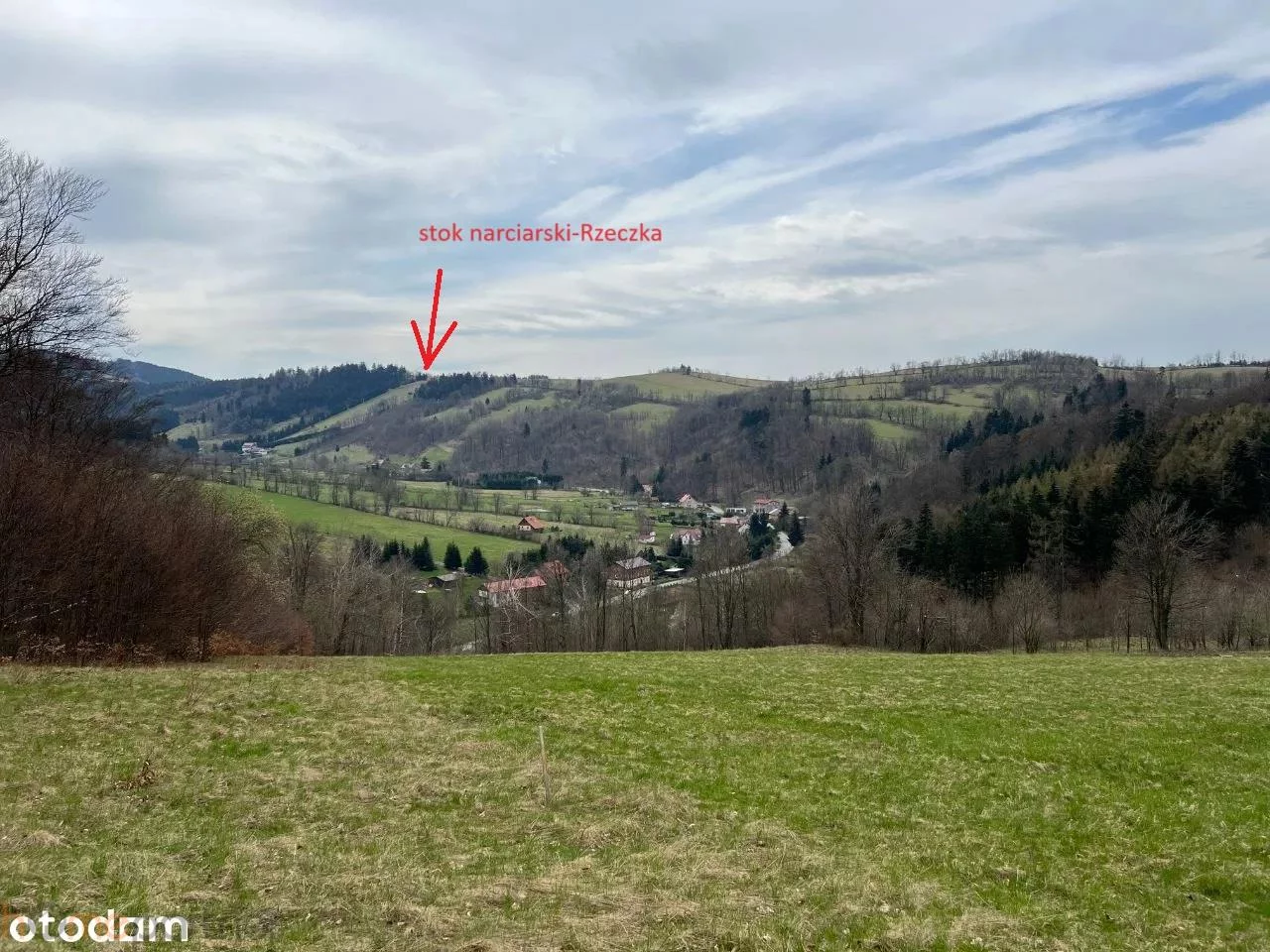 Działka 3 566,00 m², oferta nr , 19227, Walim, Adama Mickiewicza