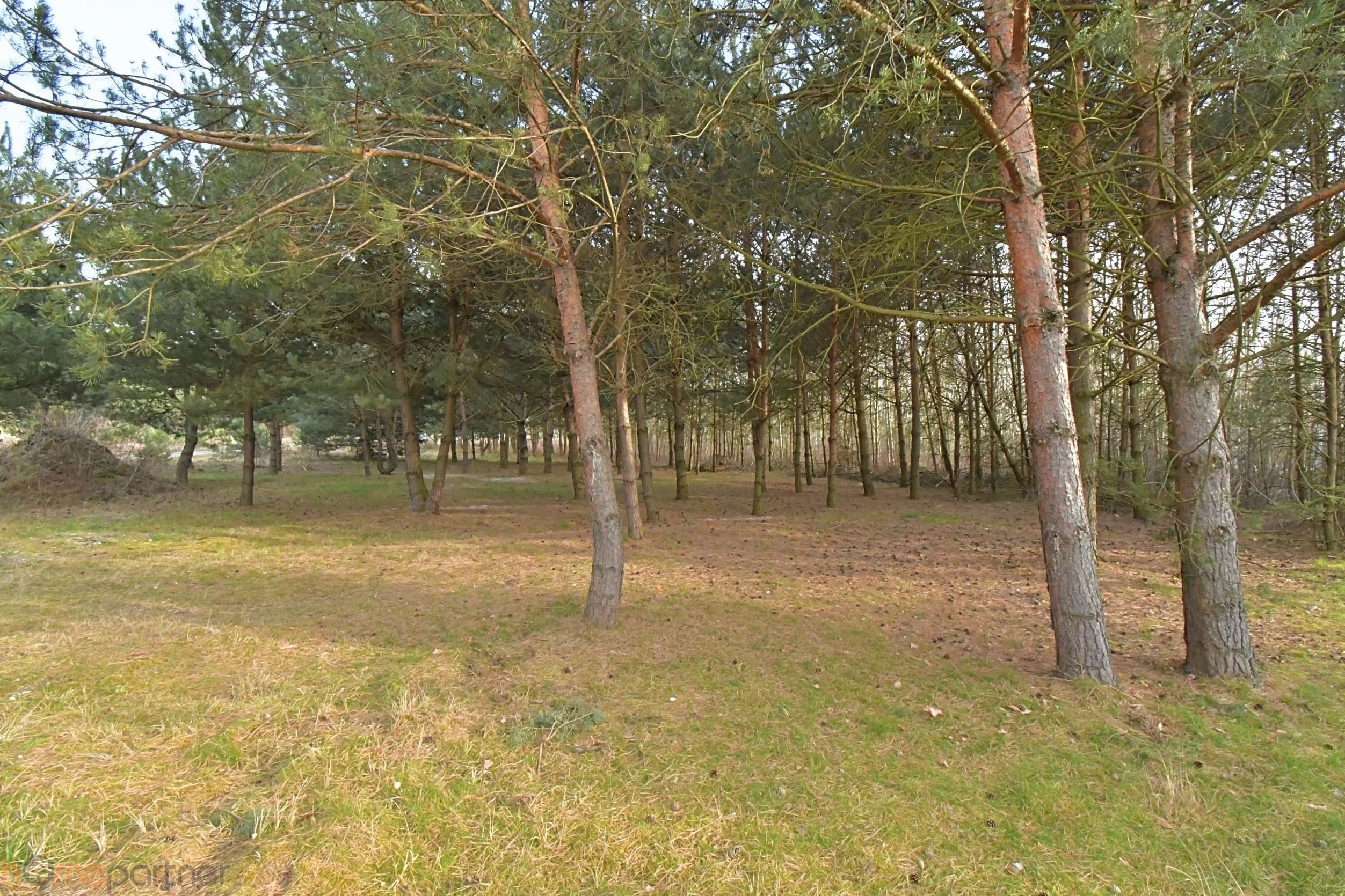 Działka 1 197,00 m², oferta nr , 19357, Miłoszyce, Bzowa