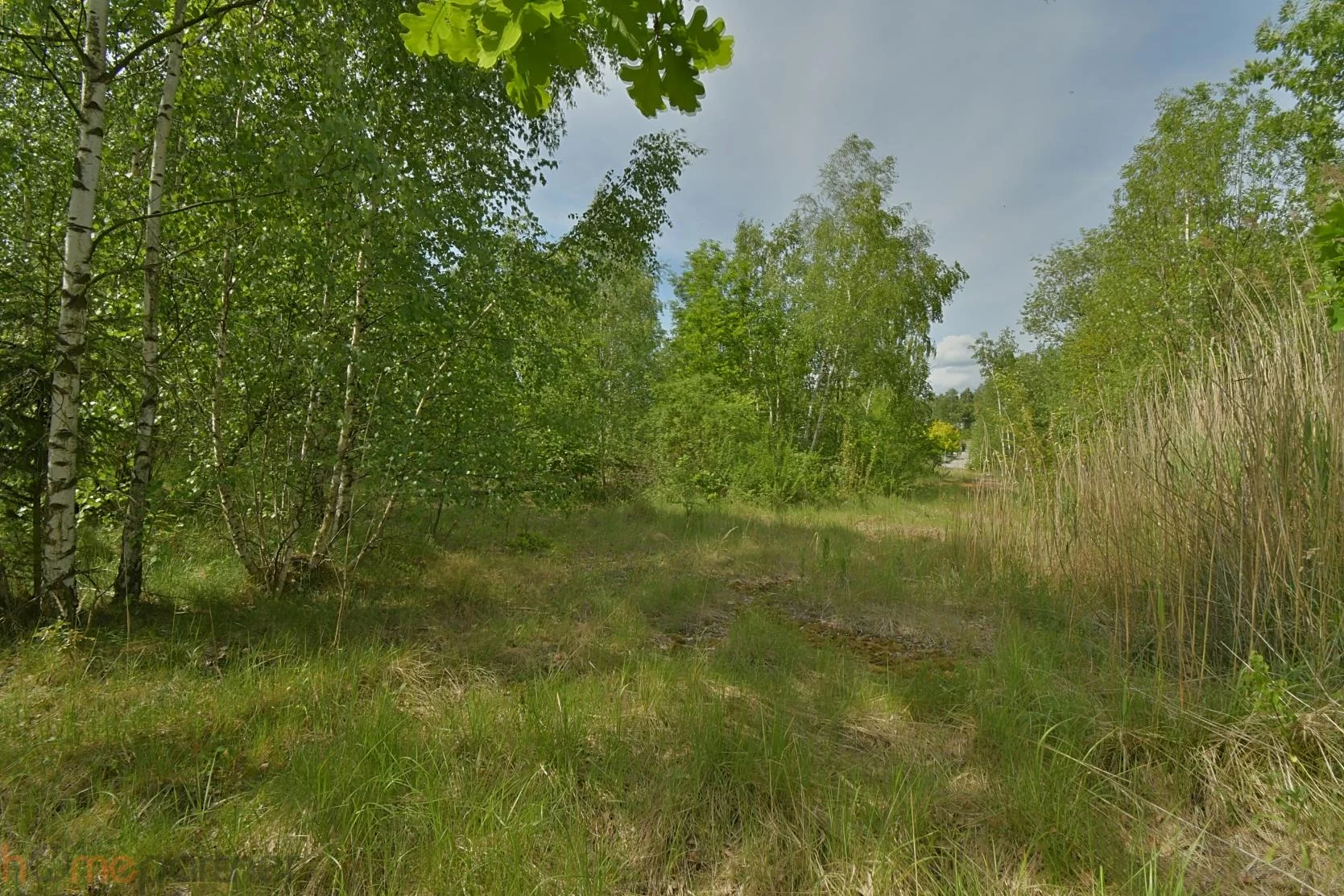 Działka 14 508,00 m², oferta nr , 19229, Wałbrzych, Stary Zdrój, Ludowa